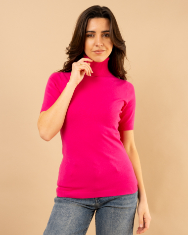 Pull col roulé manches courtes