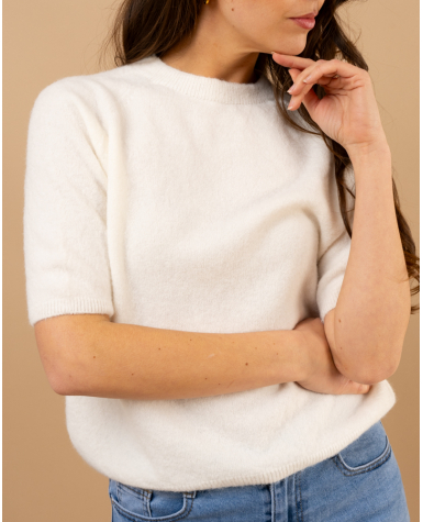 Pull manches courtes