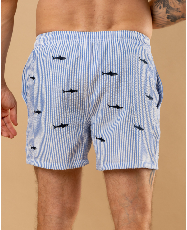 Maillot requins